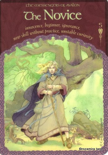 Wisdom Of Avalon Oracle